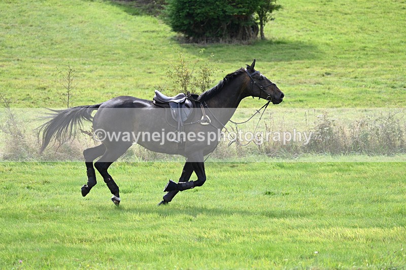 WJ7_7429 - Time 13:21 to 13:29