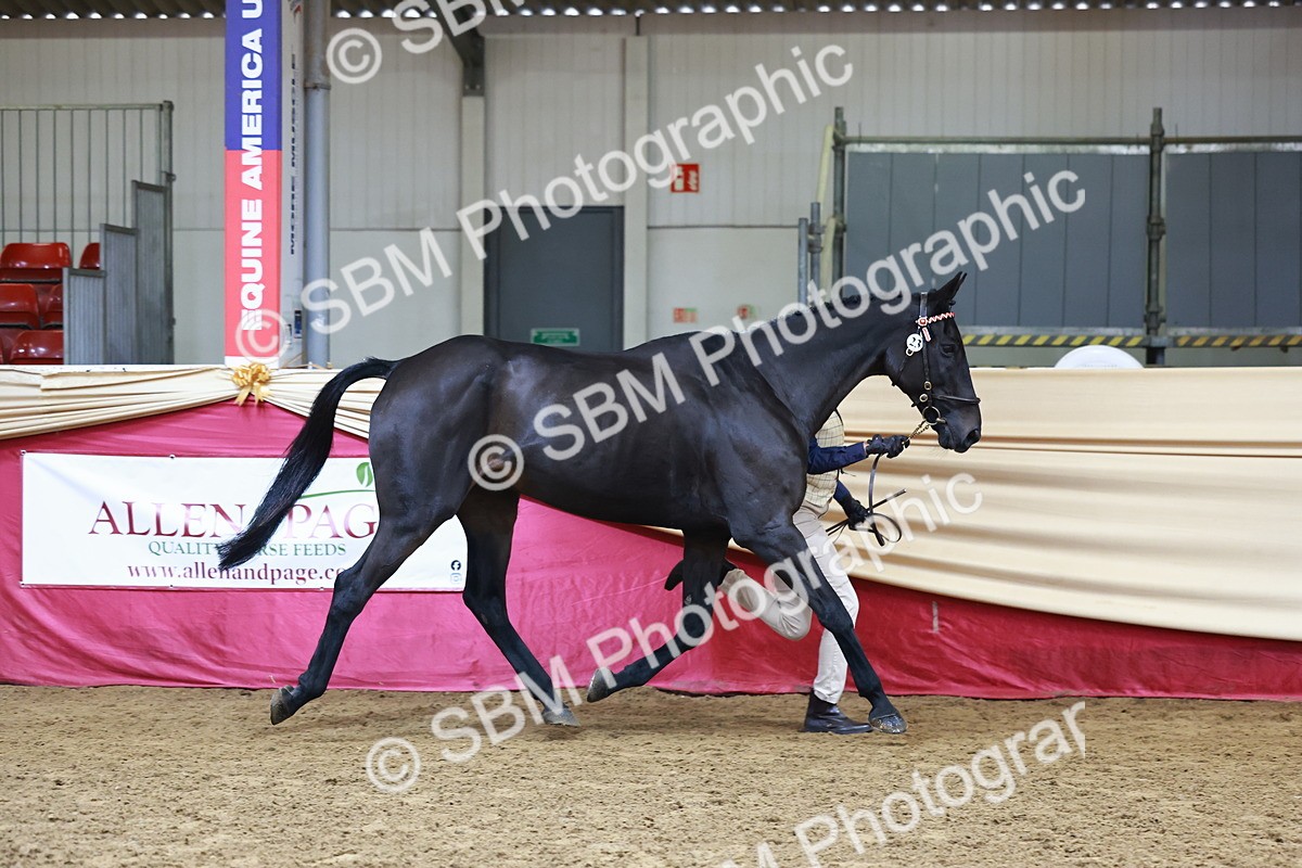 SBM_22221 - Class 902 - Supreme Final - IH Diamond