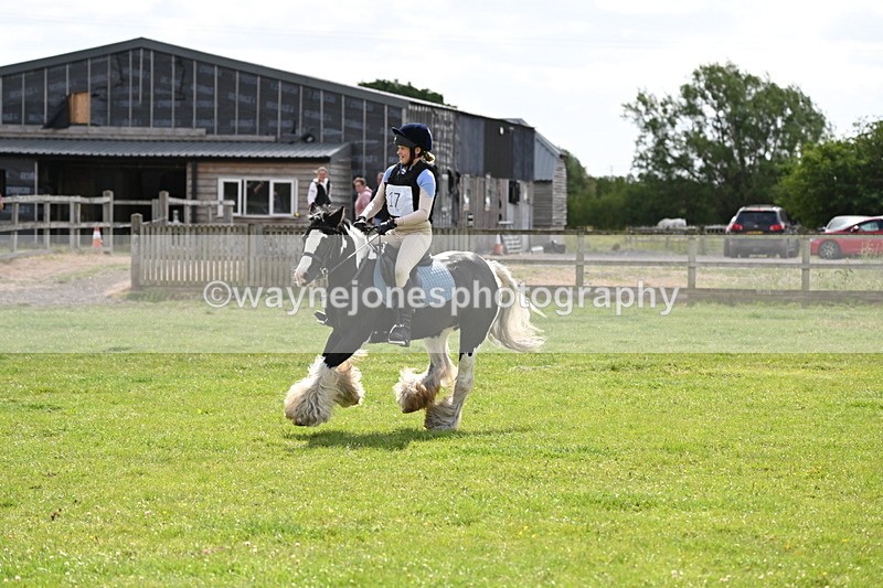 WJ6_2727 - Class 2 40cm