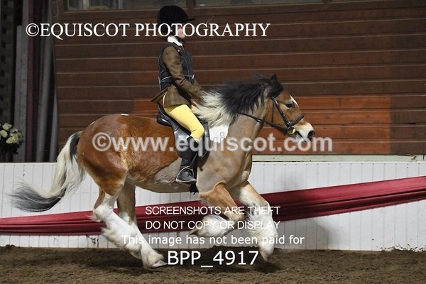 BPP_4917 - CLASS 2 30CM