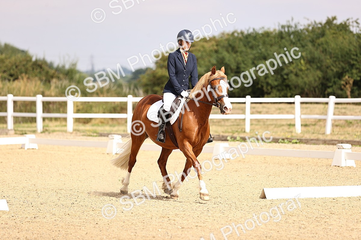 SBM_006464 - Intro 3 - 9.46-10.46