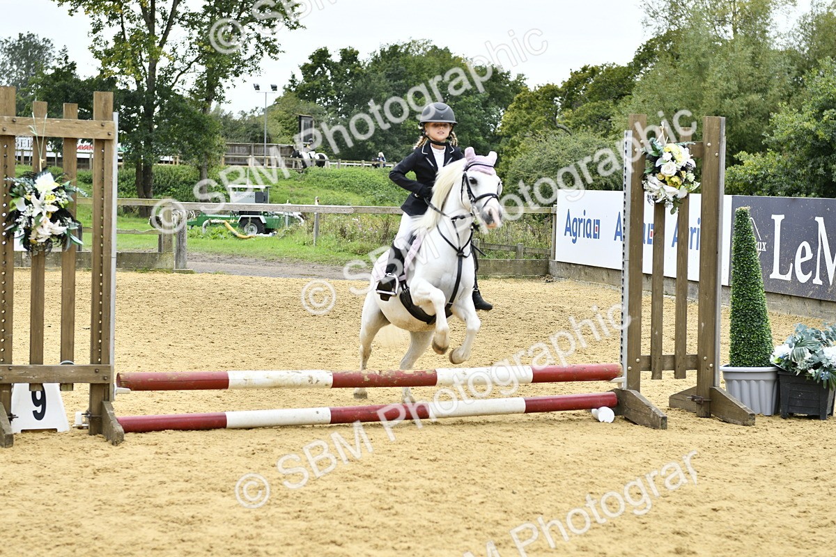 SBM_66151 - J2a mini Tour Junior Pony 30cm Championship