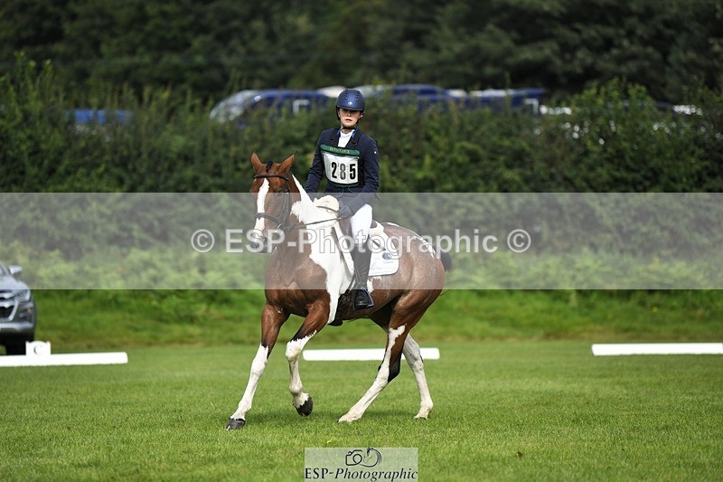 230826-101052-15394 - Sections C & D 10 to End