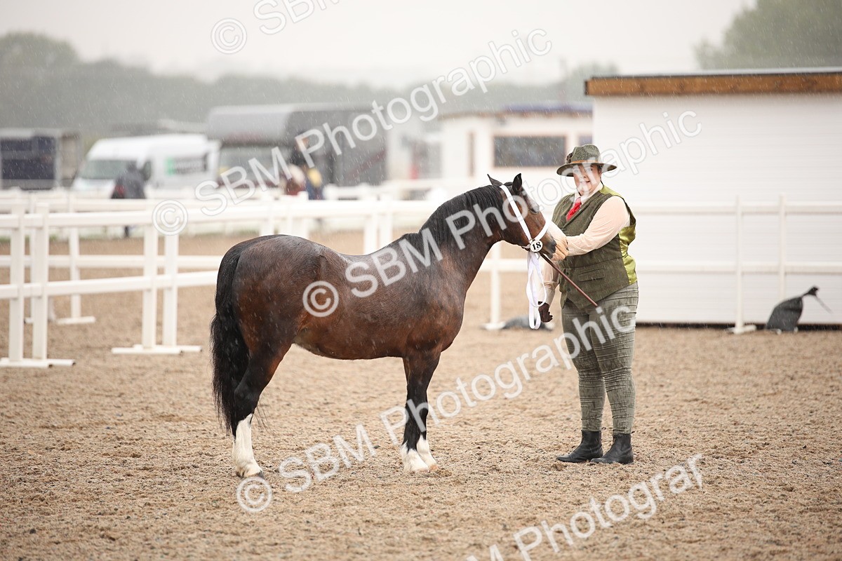 SBM_20248 - Class 704 - IH Rescue