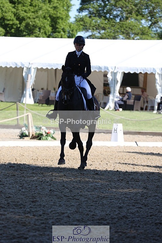 230526-090341-04990 - 351-TRINITY_CAVALIER-Henrietta_Horsley-gubbins-WEDTrotUp+DR