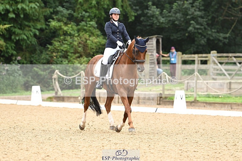 240811-102351-05008 - 110-Helen.Kitto-Da.Vinci.IV