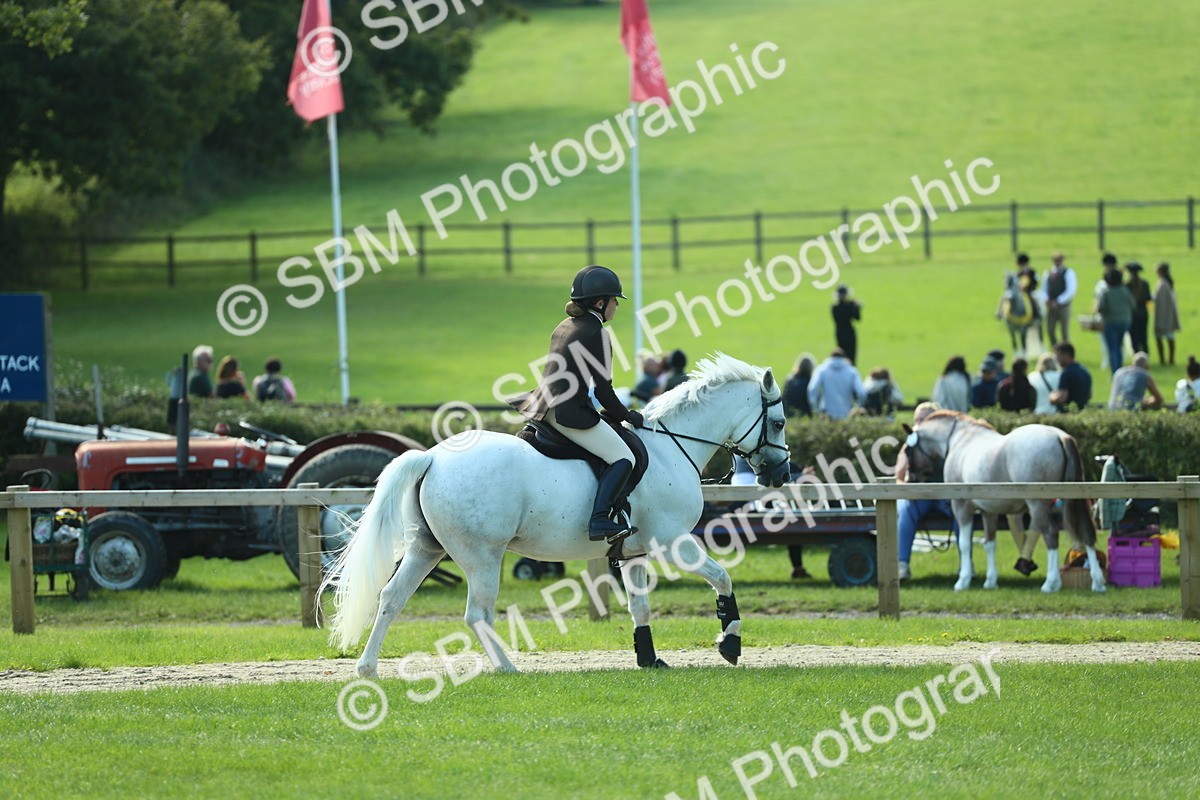 SBM_39218 - S29 - Novice & Newcomers Working Hunter Pony