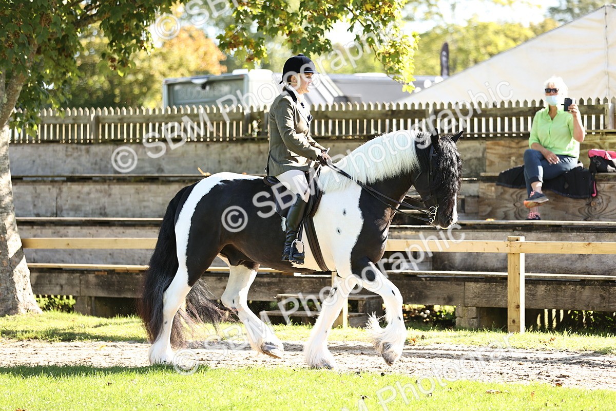 SBM_16874 - S2 - TSR Ridden Pony Showing