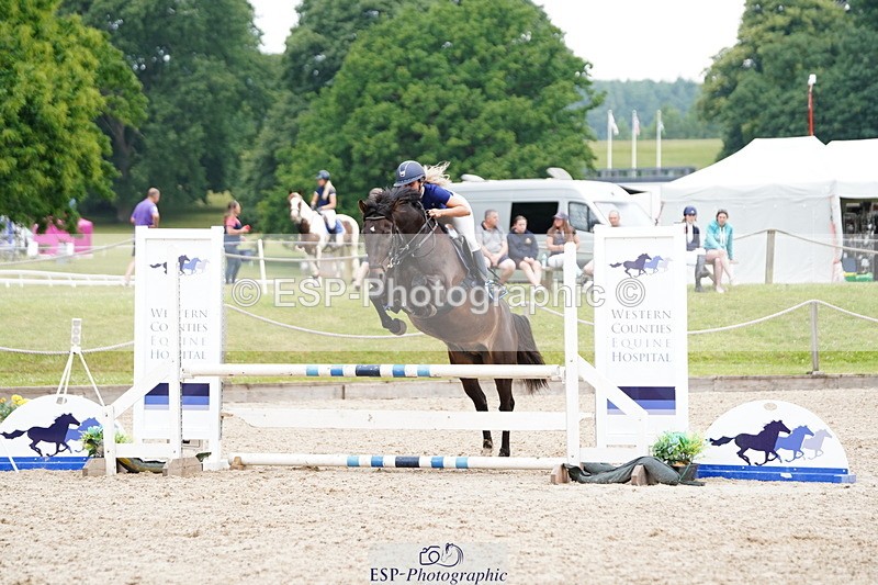 250615A-095518-09957 - Class 43 British Novice 90cm Open