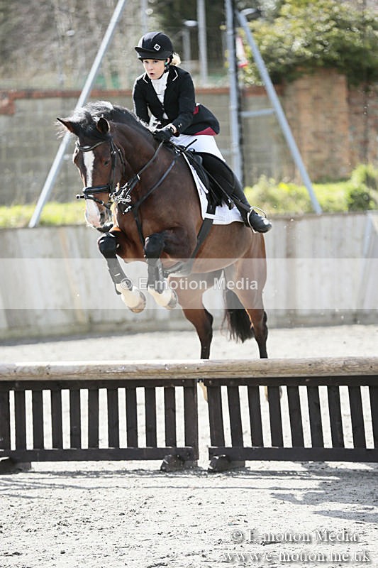 BVRC SJ 170319 431 - Bourne Valley Riding Club Showjumping 17/03/19