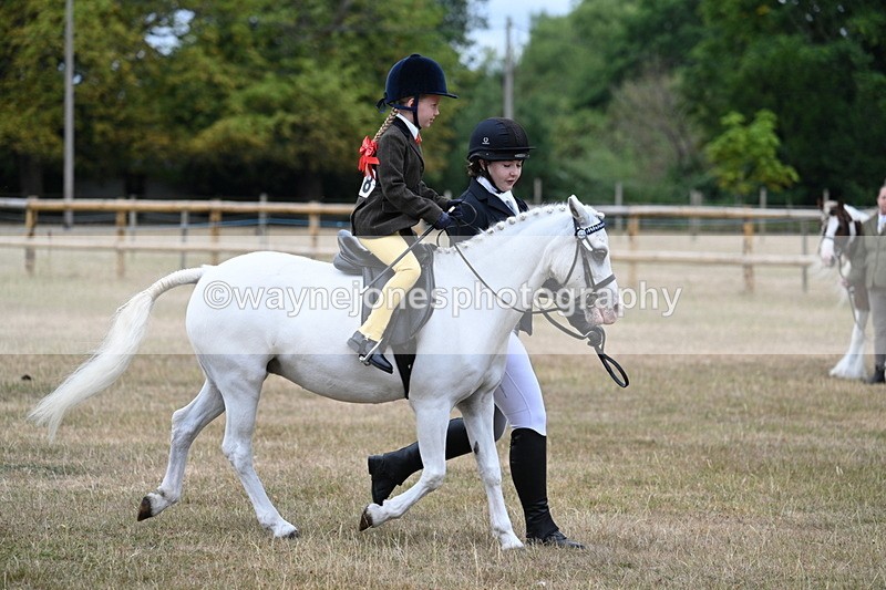 WJ7_6572 - Class 1 Lead Rein Pony