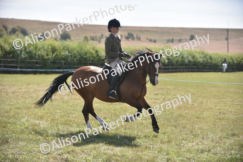20260906-2610 - Class 12 - 14.2hh and Under