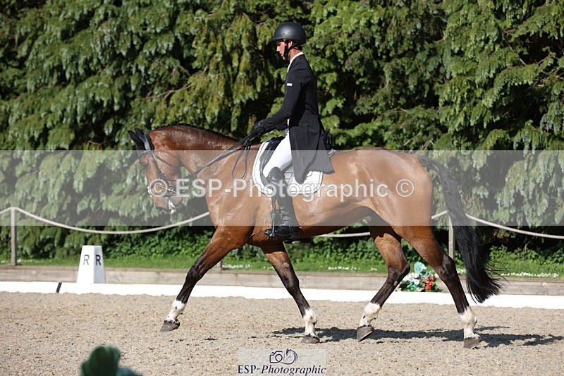 230526-174052-08009 - 180-GUEULE_DE_REVE-Arthur_Duffort-WEDTrotUp+DR