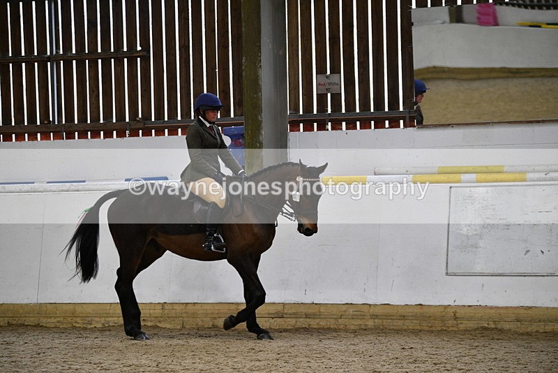 WJ5_7993 - Class 13 Ridden Part Breed