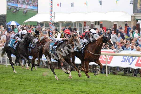yr18082022r3-23 - Race 3 3.00pm Clipper Logistics Stakes
