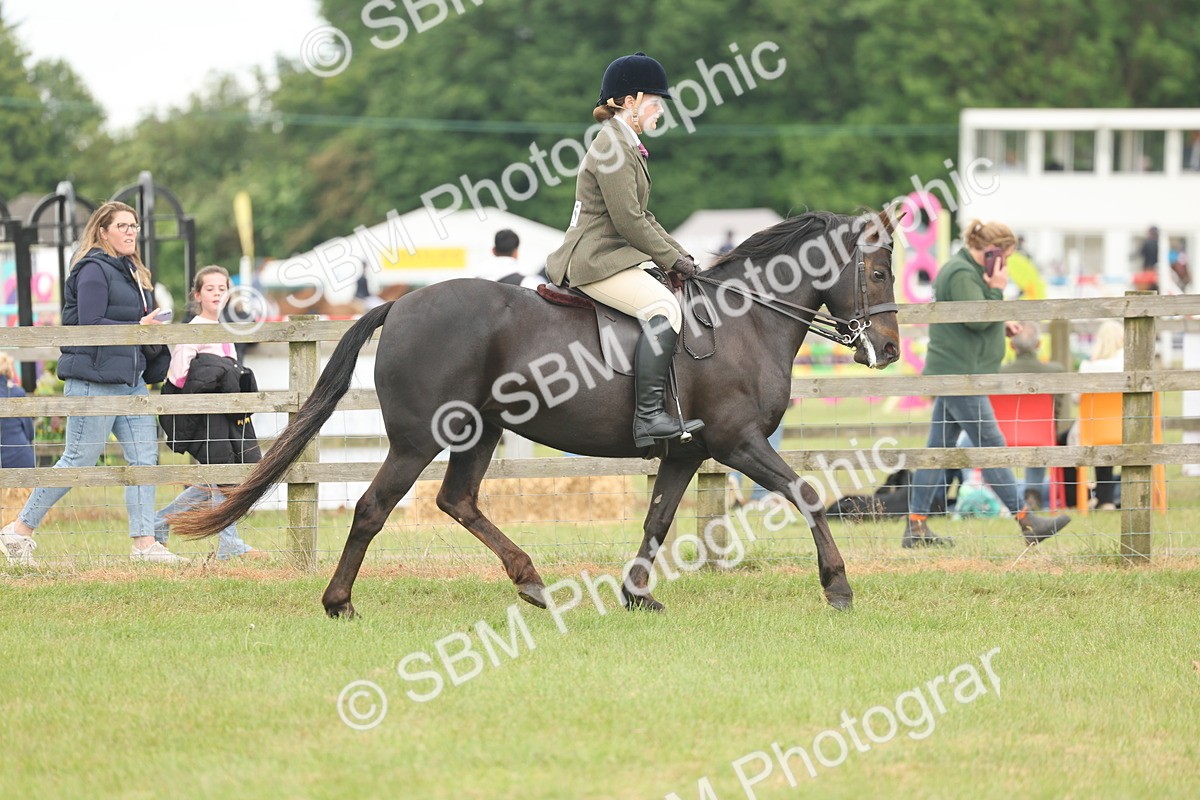 SBM_09077 - Class 78-80 - Ridden M&M Non Welsh Ponies