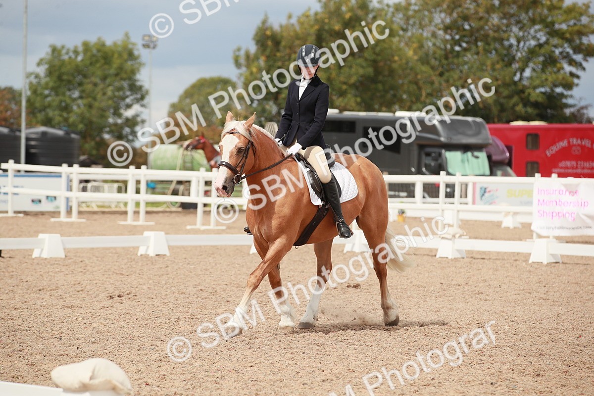 SBM_05885 - Class 32 - Novice 1