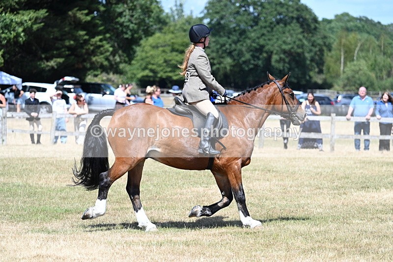 WJ7_3493 - Class 8 Ridden Veterans