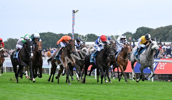 200825-271 Rubys Angel - Race 7 5.20pm Sky Bet Nursery Handicap