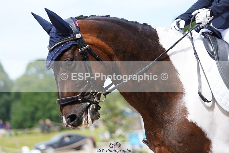 240721-113400-07842 - 124-Sophie_Savage-Two_Tone_Ted