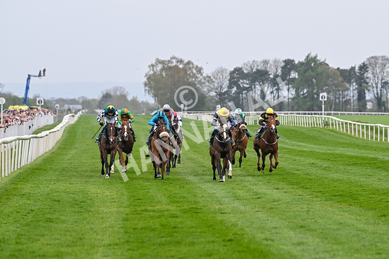 120425-Race 6-Musical Touch-1438 - Race 6