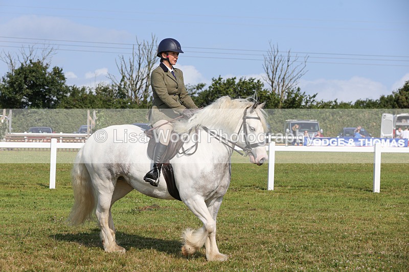 1X9A3378 - Class 28: Ridden Native/Trad Coloured Pony