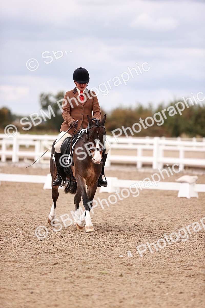 SBM_06249 - Class 37 - Novice 5