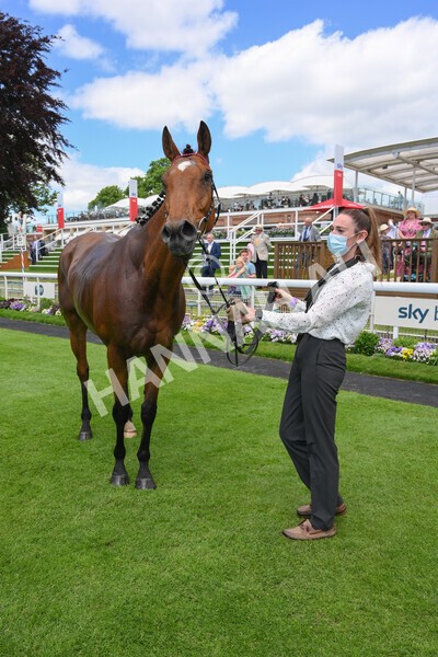 yr12062021r1-47 - Race 1 2.00pm Queen Mother's Cup