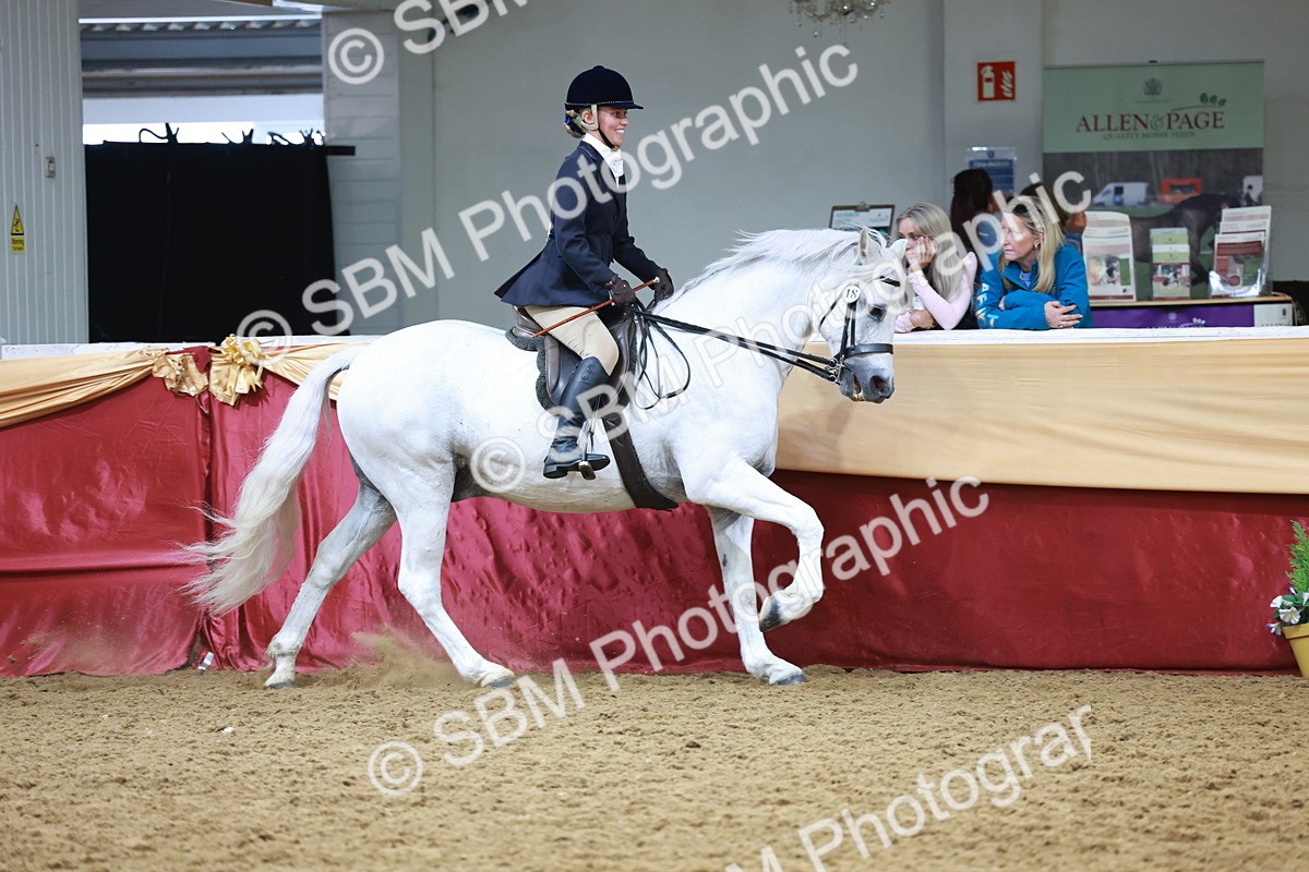 SBM_18788 - Class 952 - M&M Ridden Supreme Final