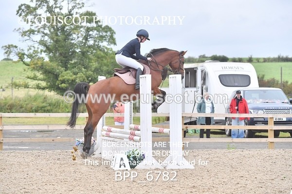 BPP_6782 - CLASS 1 Club/ Unaffiliated 80cms Open