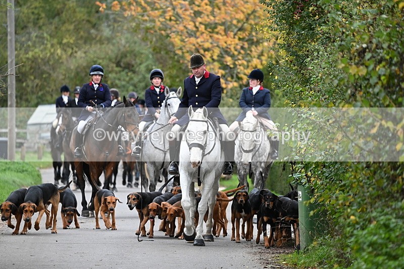 WJ6_8305 - Walk Home..
