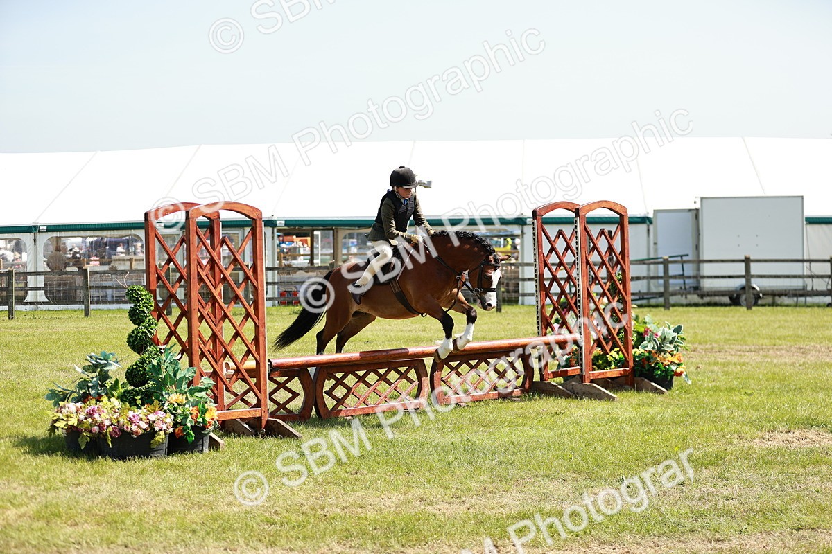 SBM_13562 - Class 108-109 - BSPS LIHS Open Gradle & Nursery Stakes