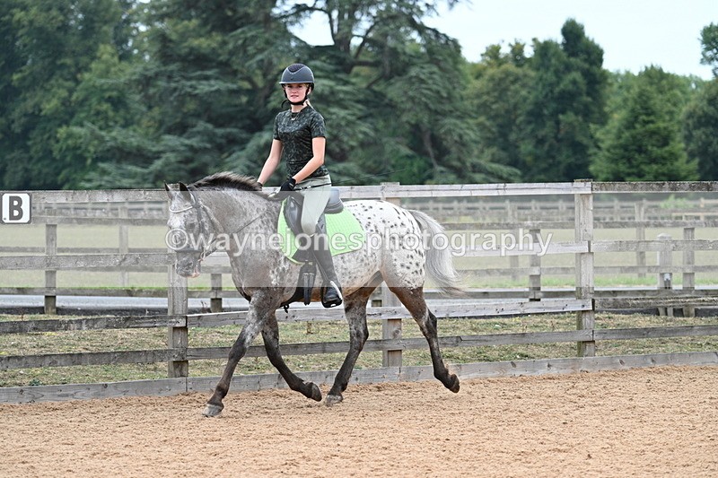 WJ7_9296 - Poles 14:00