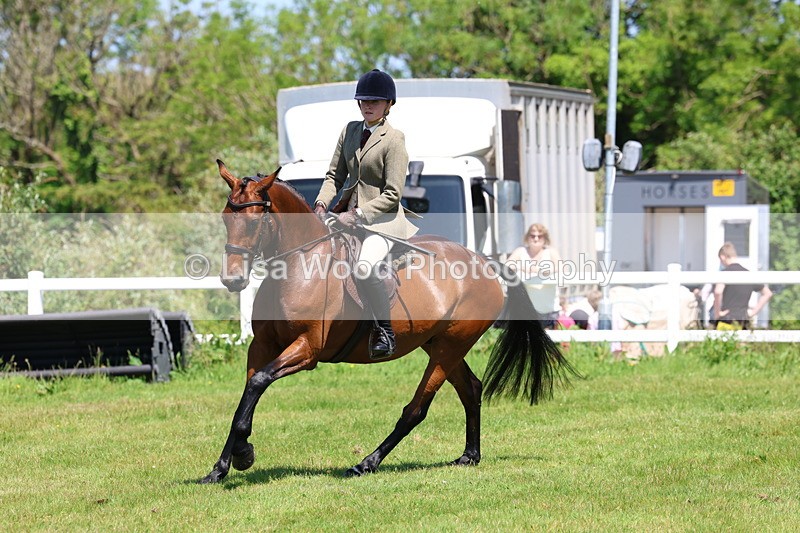 3E7A7221 - Class 30: Novice Working Hunter