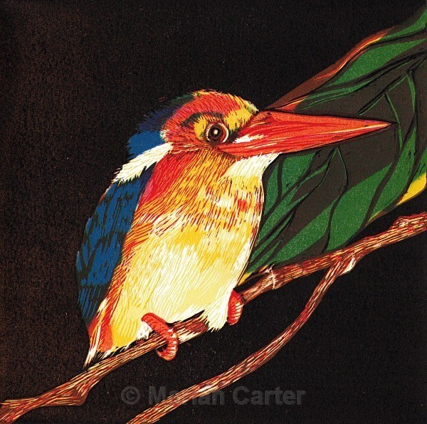 Black-backed Kingfisher, Borneo - Reduction Linocuts