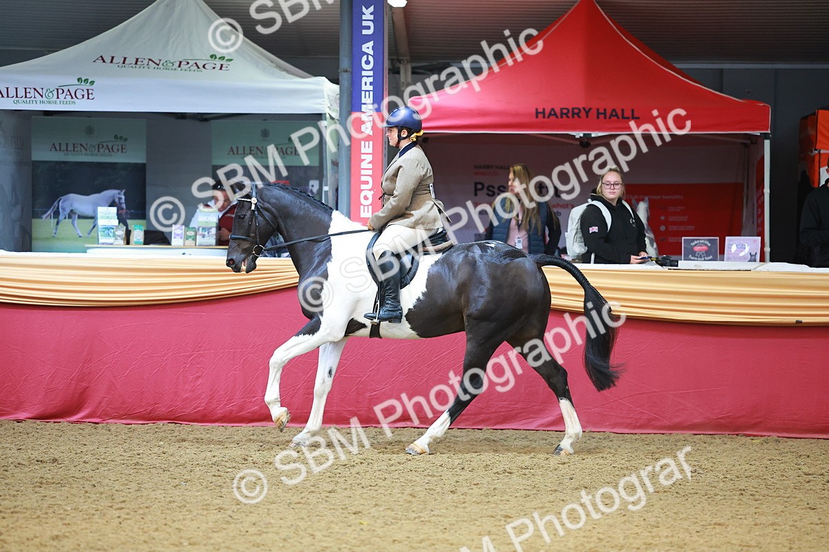 SBM_09762 - Class 102 - HOYS Veteran Qualifier - Ridden Veteran