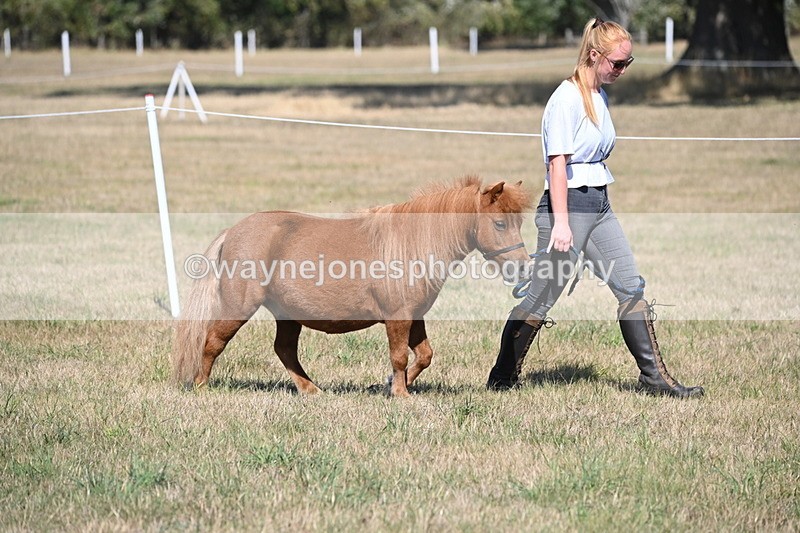 WJ6_4402 - Class 17 Mountain & Moorland