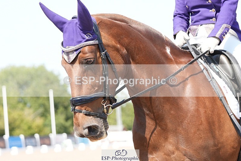 250817-140051-10555 - 182-Natalie.RosewarnePenpont.Fancy.That