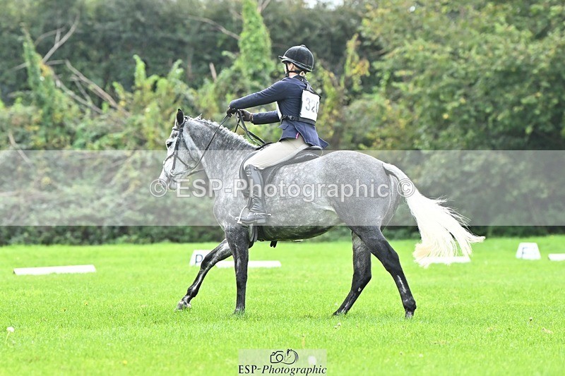 241024-115428-02548 - 320-Alice.Tollworthy-OUR.DOLPHIN.STAR