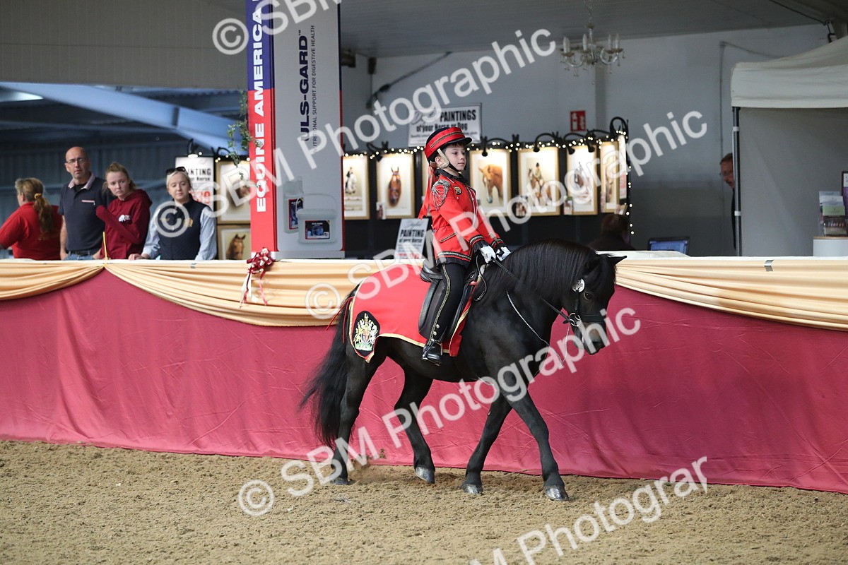SBM_11247 - Class 104 Ridden Costume - Astride Junior