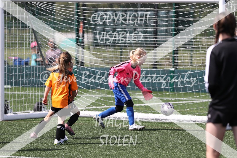 1DX33127 - Sat 13th U7 & U8 Girls