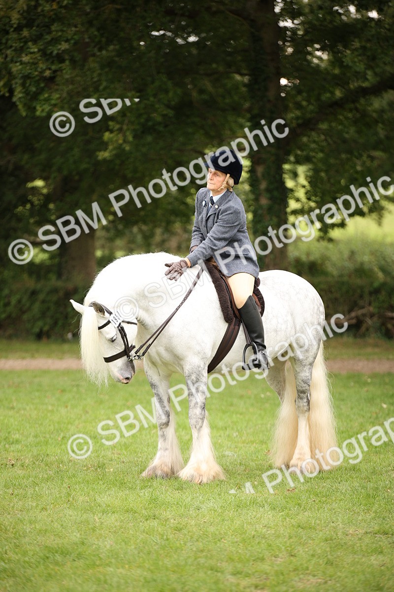 SBM_73556 - S68 - Traditional Cob Ridden