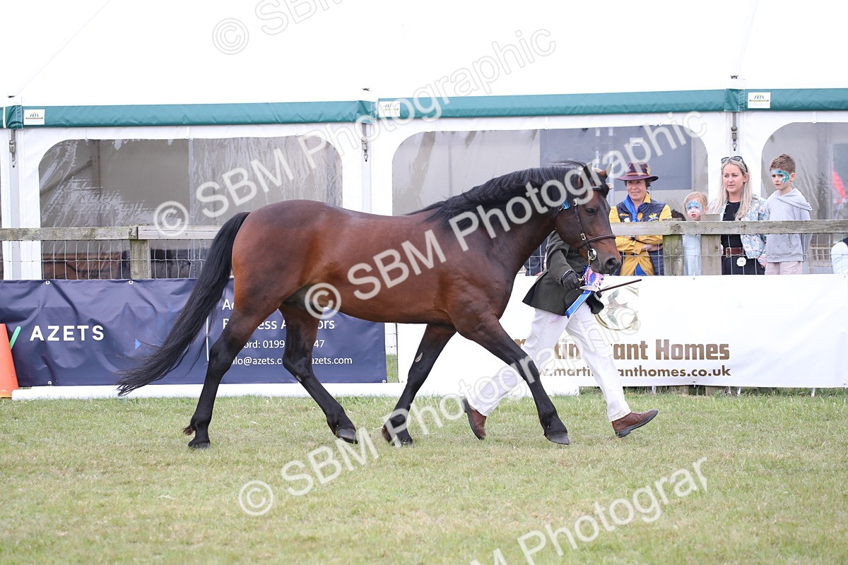 SBM_09769 - Ch 50 - Price Family Supreme In Hand