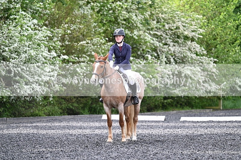 WJ7_8120 - Time 10:11 to 10:27