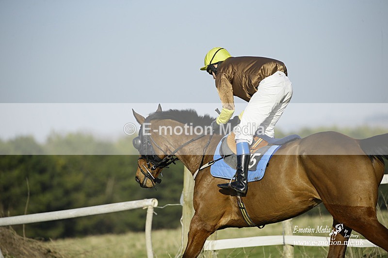 PtP 270222 496 - South & West Wilts Point-to-Point Larkhill 27/02/22