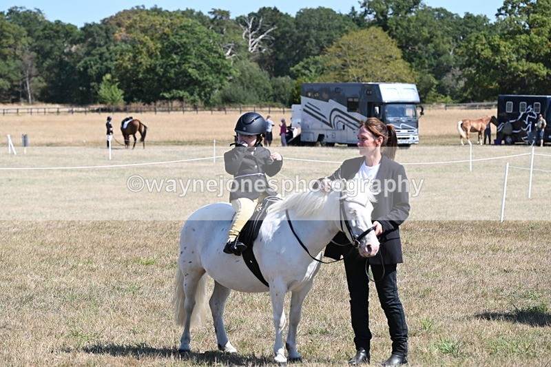WJ6_8128 - Class 36 Lead Rein