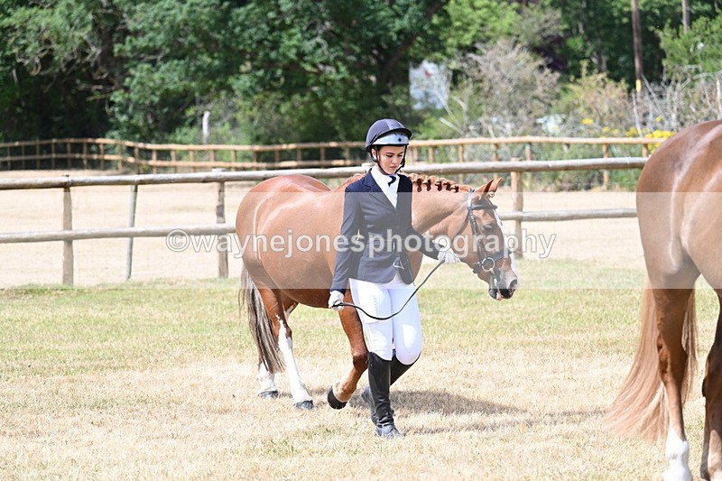 WJ7_1797 - Class 4a Prettiest Mare 14.2hh and over hand