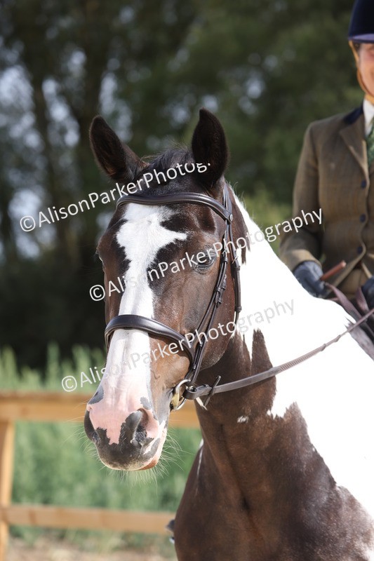 20260802-0495 - Class 6 - Veteran Ridden