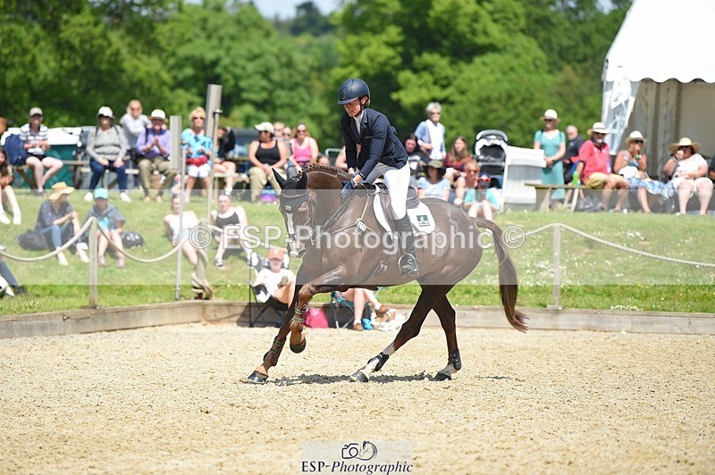 230528-120324-15506 - 376-DIRECT_BALLYTARSNA_DUCAREL-Jodie_Amos-SUNTrotUp+SJ