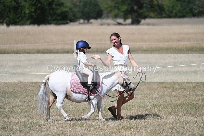 WJ7_1248 - Class 41 Prettiest Mare